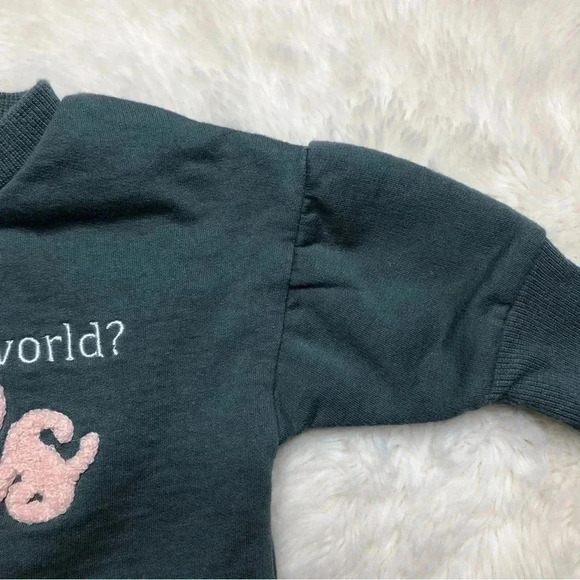 PL Baby Who Runs The World Girls Sweatshirt Grey/White/Pink Size 3  Months - Picture 4 of 16